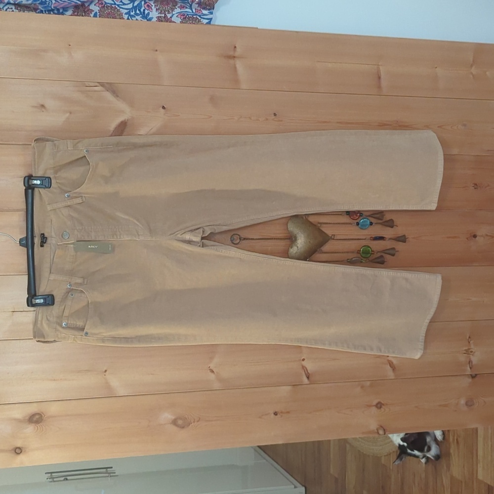 JCREW cords